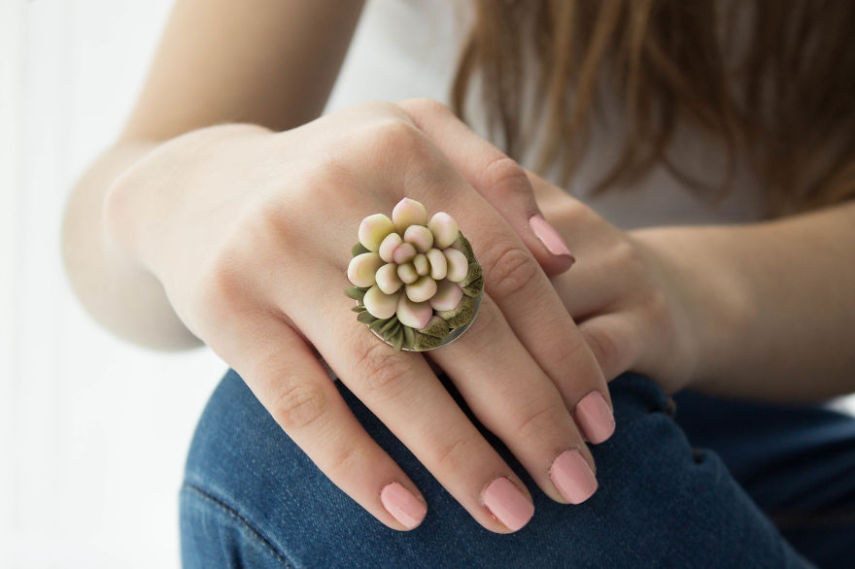 Designer se inspira em plantas suculentas