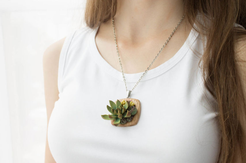 Designer se inspira em plantas suculentas