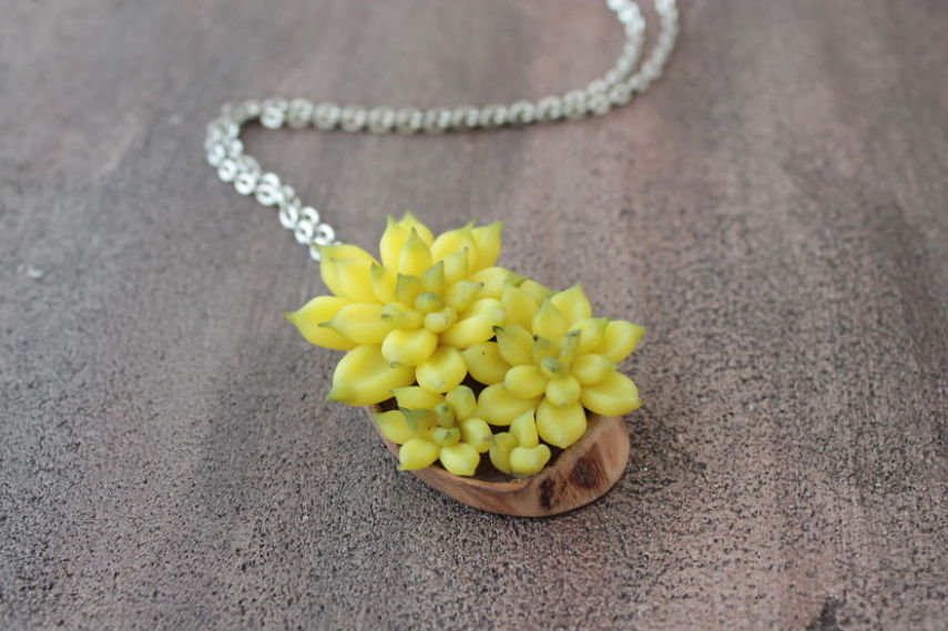 Designer se inspira em plantas suculentas