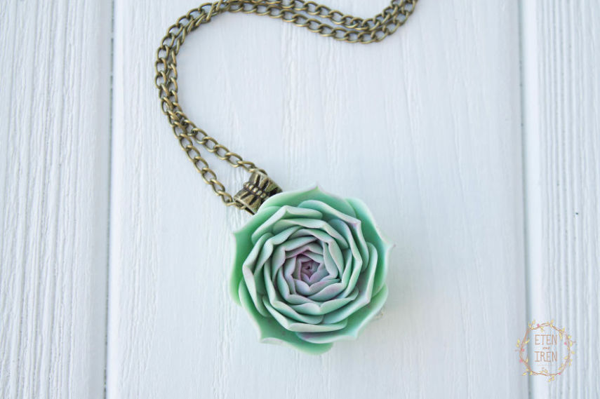 Designer se inspira em plantas suculentas