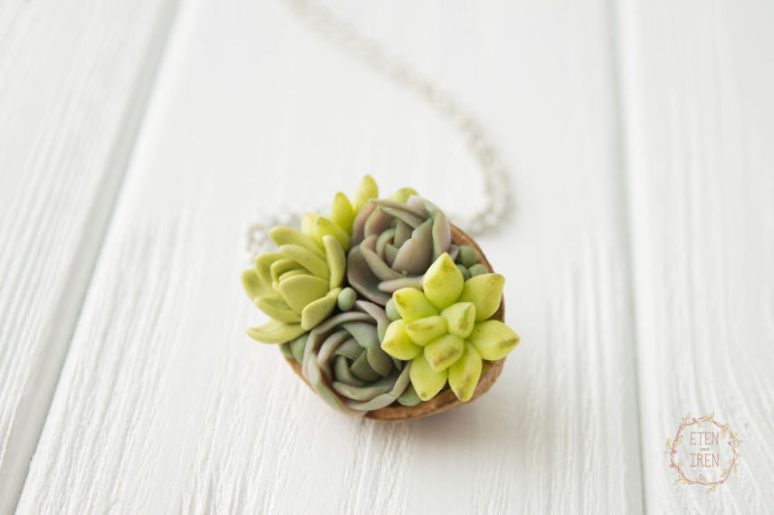 Designer se inspira em plantas suculentas