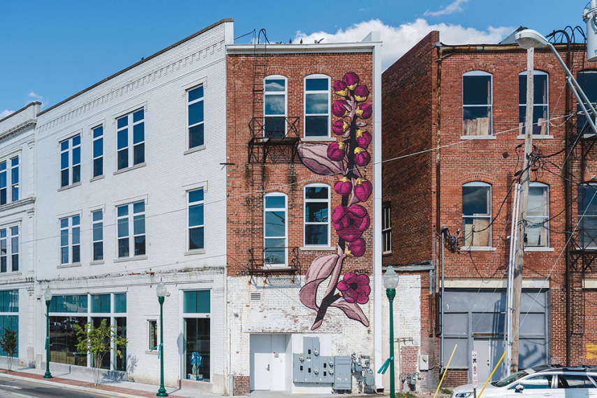 Ft. Smith é a segunda maior cidade de Arkansas, quase na divida som Oklahoma. A paisagem, antes tomada por fachadas antigas e prédios abandonados, ganhou cores e desenhos incríveis após a união de um coletivo de artistas chamado The Unexpected, um grupo ambicioso que se reuniu para revitalizar seu centro.  O coletivo fez uma força-tarefa para realizar mais de vinte obras espalhadas pela área. Escolas, muros, fachadas de lojas e prédios ganharam mosaicos coloridos, desenhos realistas e diversos desenhos incríveis. Boa parte dos artistas mobilizados fazem parte da Universidade de Arkansas, além de vários voluntários que se ofereceram para a execução das obras.