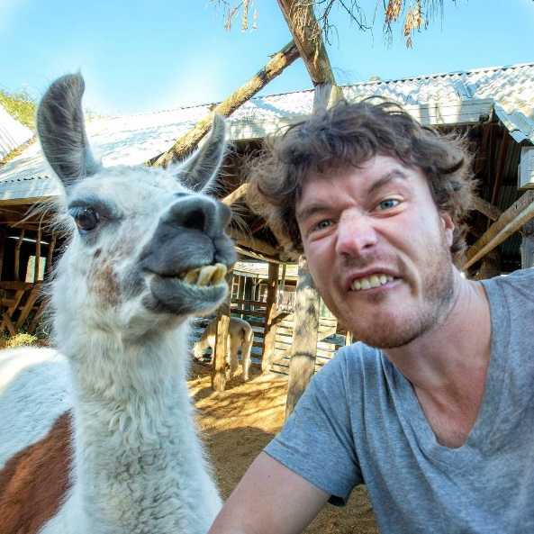 O fotógrafo neozelandês Allan Dixon mostra detalhes de suas viagens pelo mundo e tira muitas selfies com animais no Instagram (@daxon)