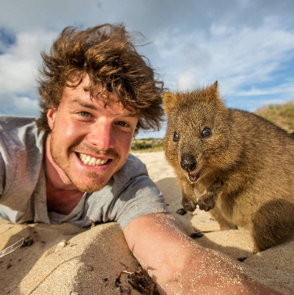 O fotógrafo neozelandês Allan Dixon mostra detalhes de suas viagens pelo mundo e tira muitas selfies com animais no Instagram (@daxon)