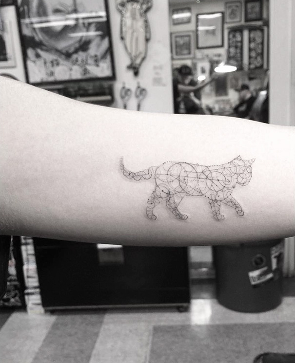 Inspirações para quem ama demais os felinos