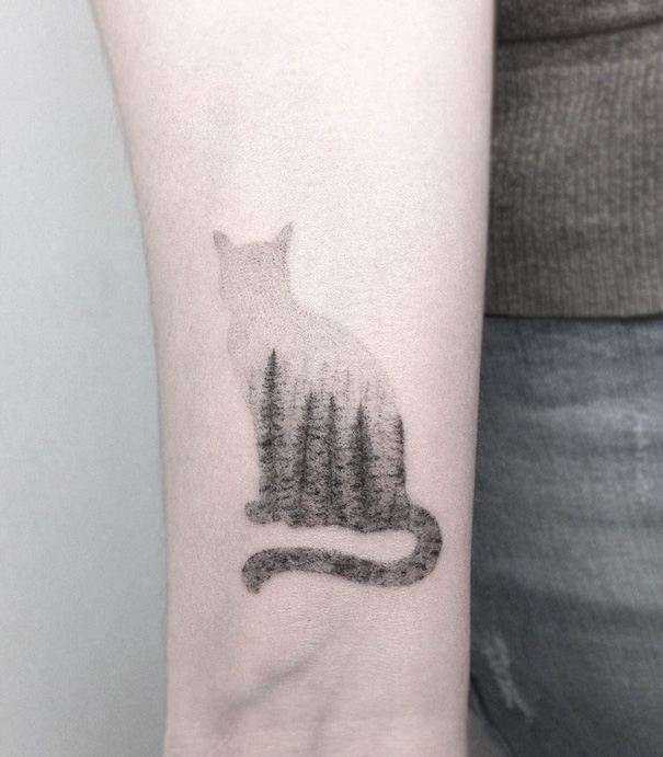 Inspirações para quem ama demais os felinos