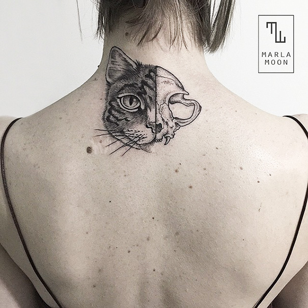 Inspirações para quem ama demais os felinos