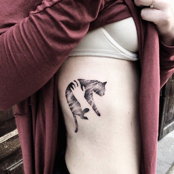 Inspirações para quem ama demais os felinos