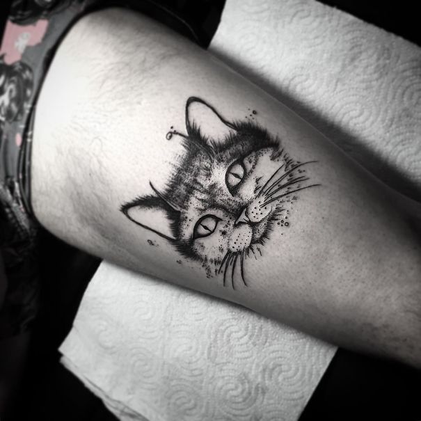 Inspirações para quem ama demais os felinos