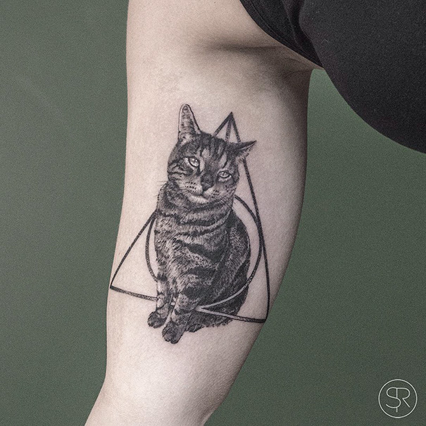 Inspirações para quem ama demais os felinos