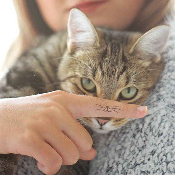 Inspirações para quem ama demais os felinos