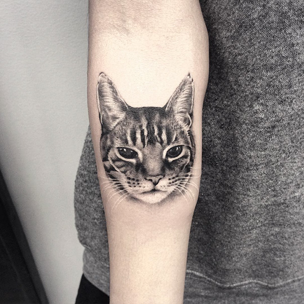 Inspirações para quem ama demais os felinos