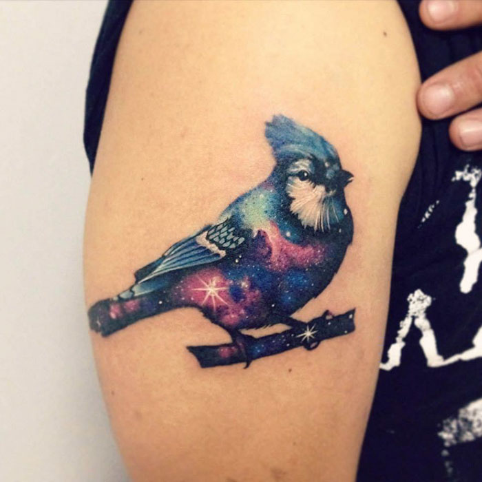 Inspirações para quem sonha em tatuar uma ave no corpo