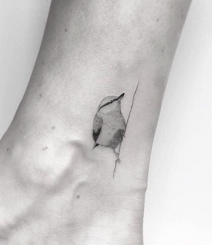 Inspirações para quem sonha em tatuar uma ave no corpo