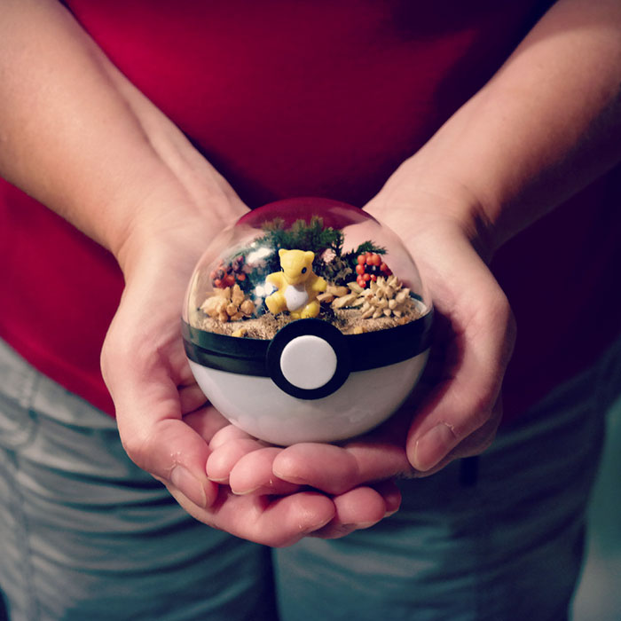 Lauren é uma artista do Texas, nos Estados Unidos, que cria terrários em formatoLauren é uma artista do Texas, nos Estados Unidos, que cria terrários em formato de pokébola de pokébola