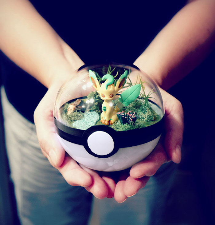 Lauren é uma artista do Texas, nos Estados Unidos, que cria terrários em formato de pokébola