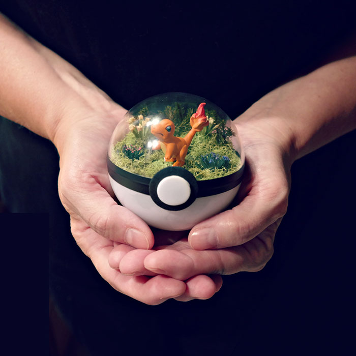 Lauren é uma artista do Texas, nos Estados Unidos, que cria terrários em formato de pokébola