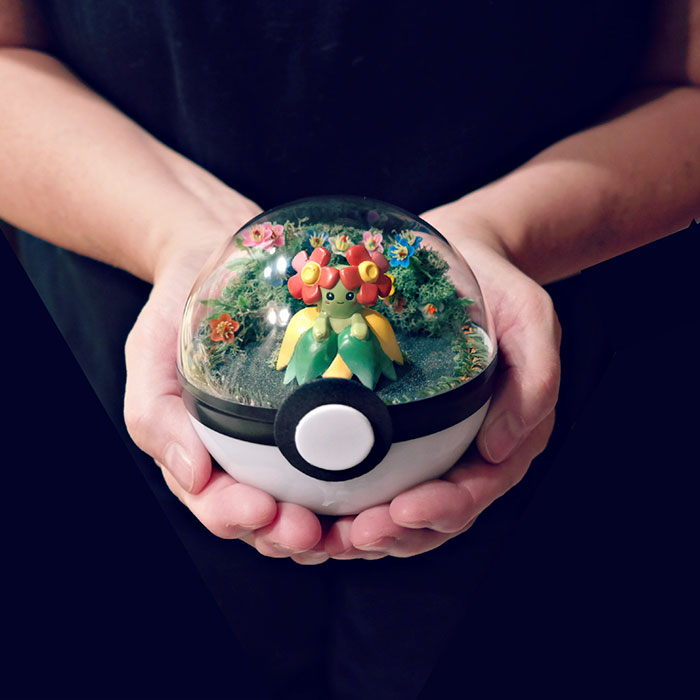 Lauren é uma artista do Texas, nos Estados Unidos, que cria terrários em formato de pokébola