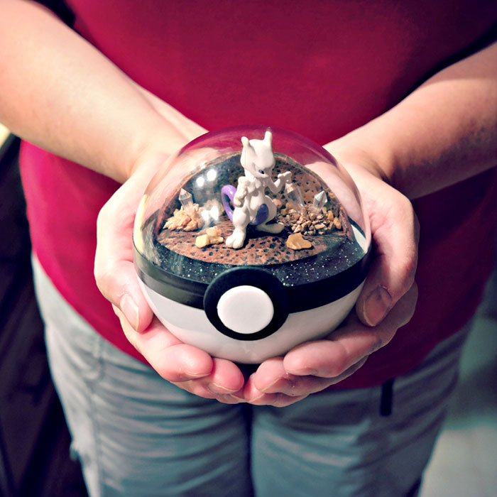 Lauren é uma artista do Texas, nos Estados Unidos, que cria terrários em formato de pokébola