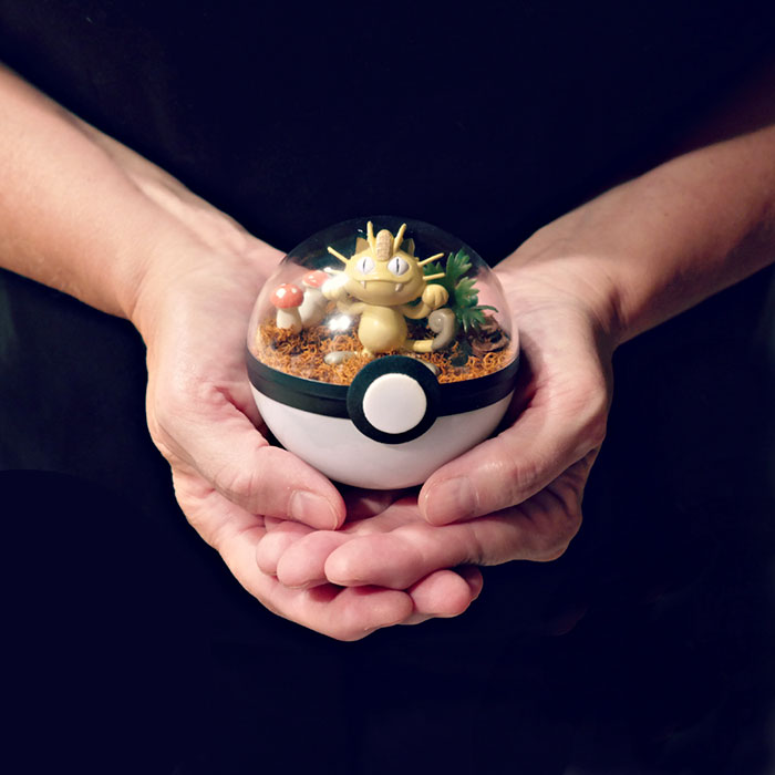 Lauren é uma artista do Texas, nos Estados Unidos, que cria terrários em formato de pokébola
