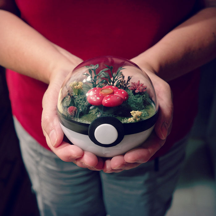Lauren é uma artista do Texas, nos Estados Unidos, que cria terrários em formato de pokébola