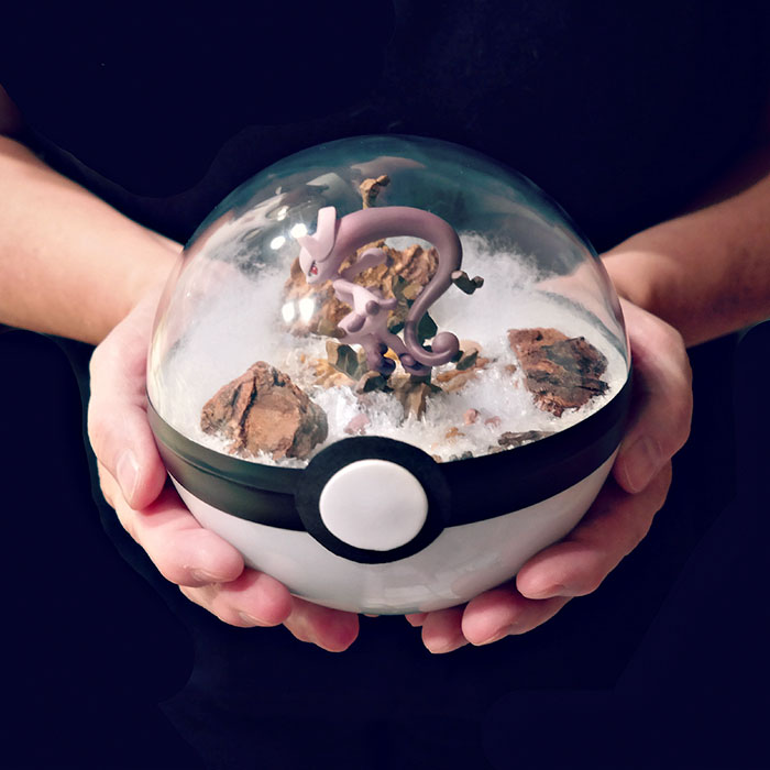 Lauren é uma artista do Texas, nos Estados Unidos, que cria terrários em formato de pokébola
