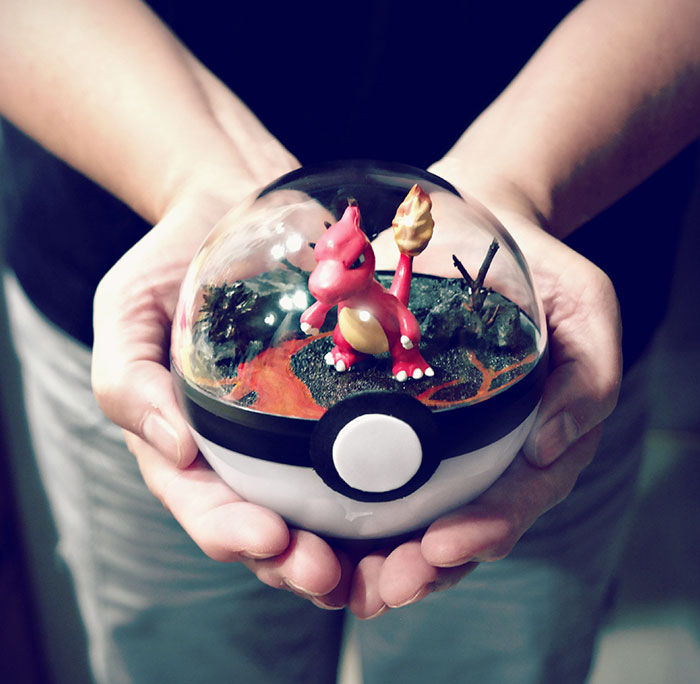 Lauren é uma artista do Texas, nos Estados Unidos, que cria terrários em formato de pokébola