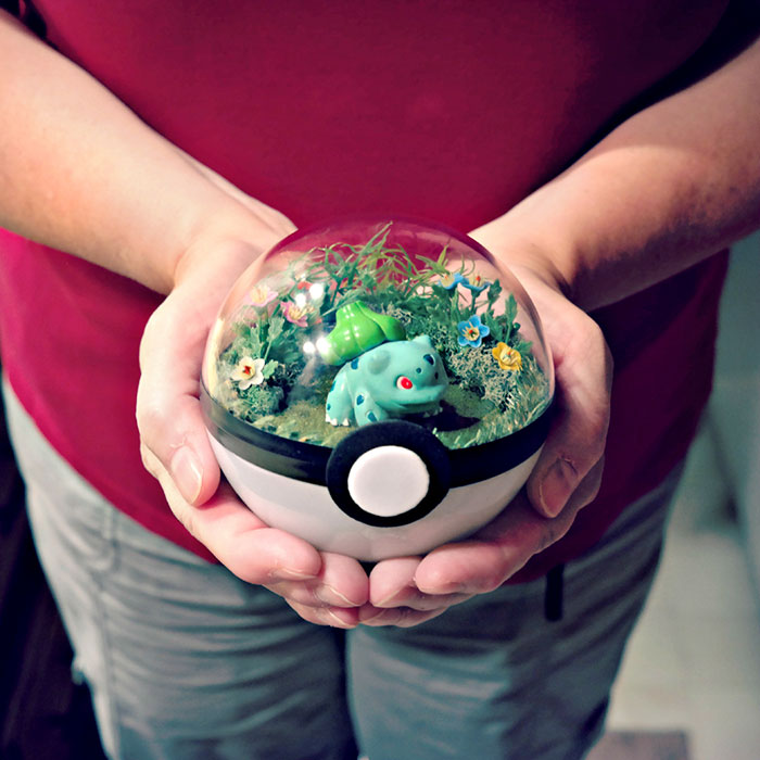 Lauren é uma artista do Texas, nos Estados Unidos, que cria terrários em formato de pokébola