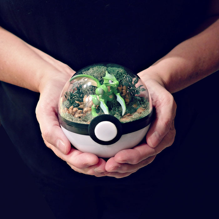 Lauren é uma artista do Texas, nos Estados Unidos, que cria terrários em formato de pokébola