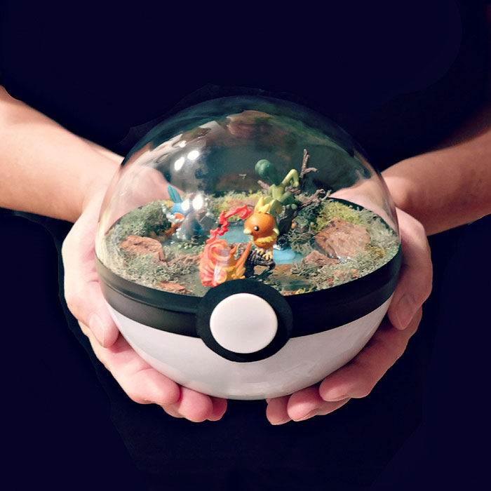 Lauren é uma artista do Texas, nos Estados Unidos, que cria terrários em formato de pokébola