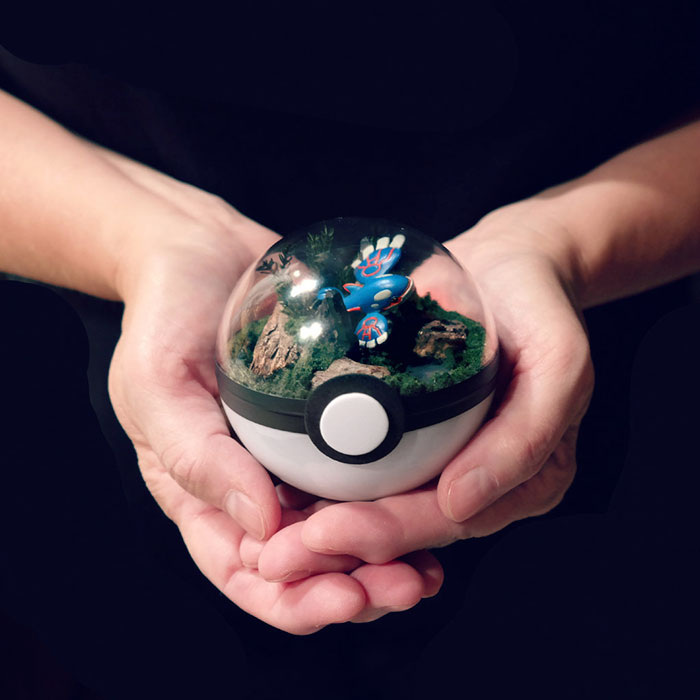 Lauren é uma artista do Texas, nos Estados Unidos, que cria terrários em formato de pokébola