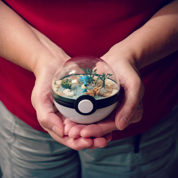 Lauren é uma artista do Texas, nos Estados Unidos, que cria terrários em formato de pokébola