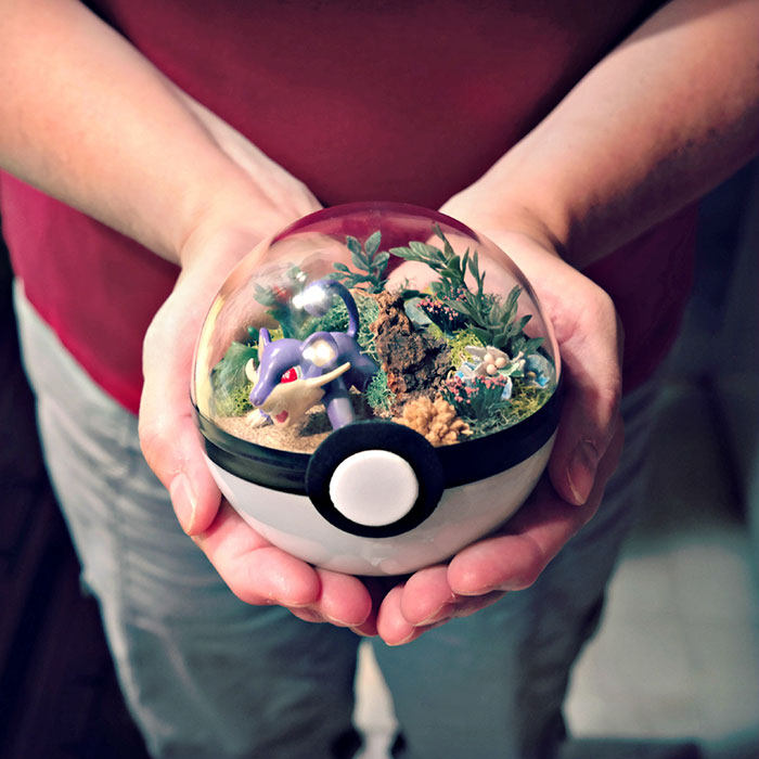 Lauren é uma artista do Texas, nos Estados Unidos, que cria terrários em formato de pokébola