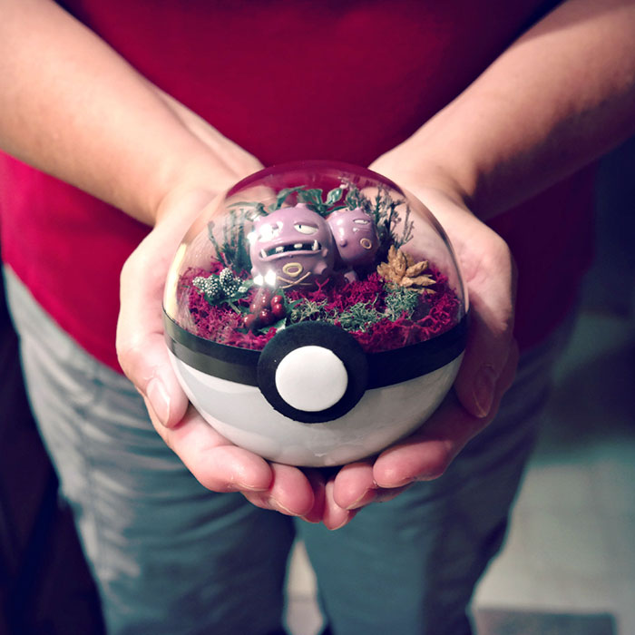 Lauren é uma artista do Texas, nos Estados Unidos, que cria terrários em formato de pokébola