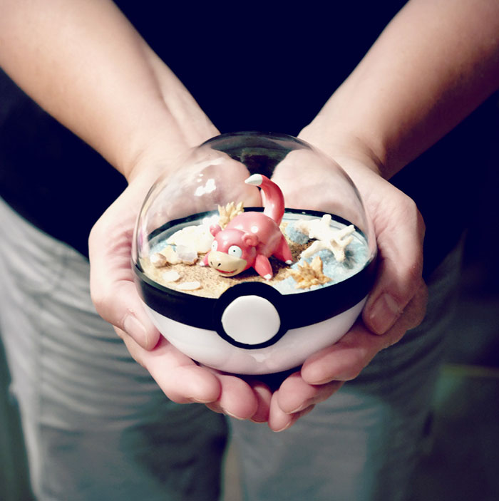 Lauren é uma artista do Texas, nos Estados Unidos, que cria terrários em formato de pokébola