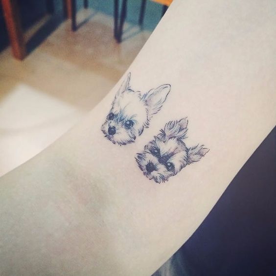 Esses focinhos também merecem uma homenagem especial na pele, para sempre. Qual tattoo você escolheria? :)