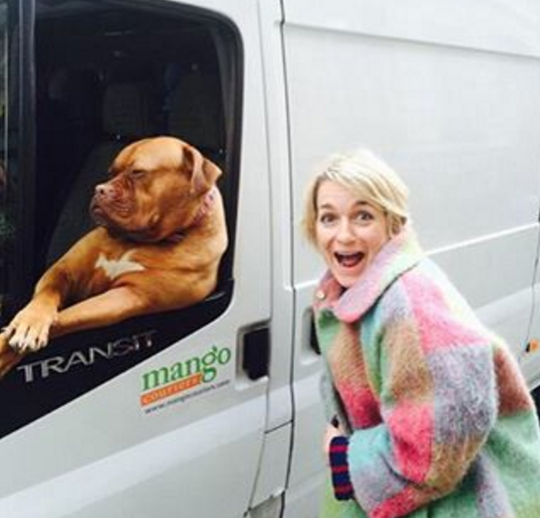 Da raça Mastiff Francês, Roxy acompanha seu dono no trabalho como passageiro de uma van branca. Sua pose enquanto roda a cidade o tornou famoso e as pessoas param para registrar quando o encontram.