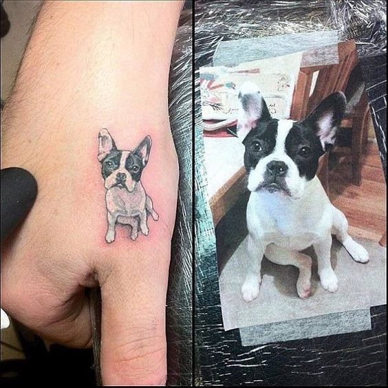 Esses focinhos também merecem uma homenagem especial na pele, para sempre. Qual tattoo você escolheria? :)