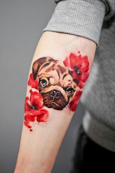 Esses focinhos também merecem uma homenagem especial na pele, para sempre. Qual tattoo você escolheria? :)