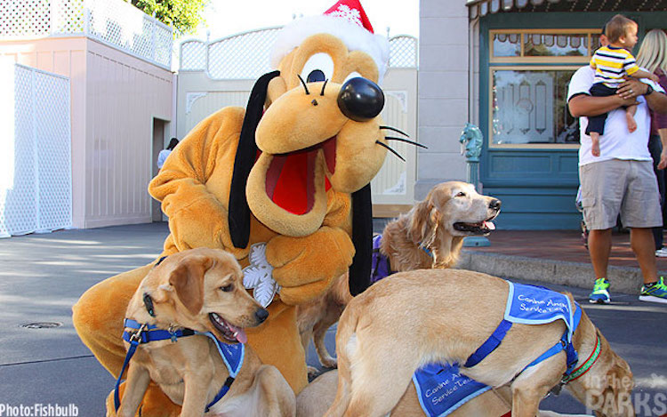 Cachorros na Disneylândia