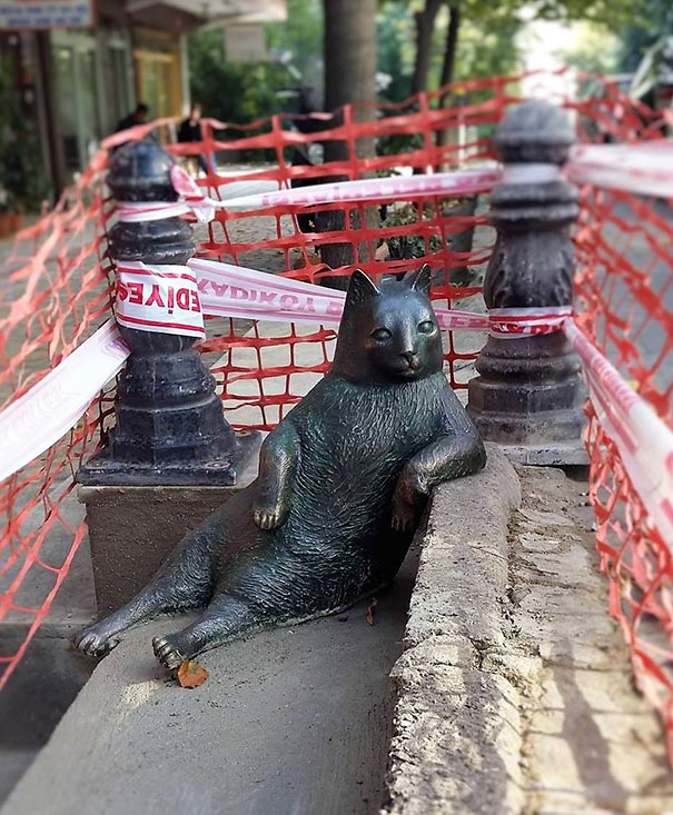 Gato de Istambul imortalizado em estátua