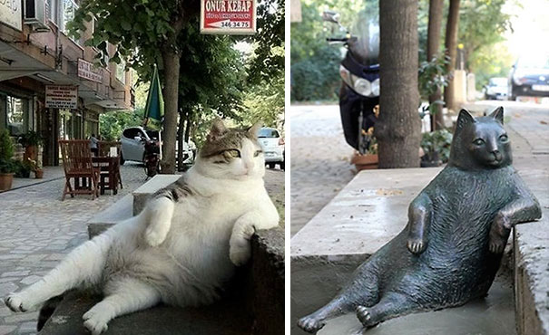 Gato de Istambul imortalizado em estátua