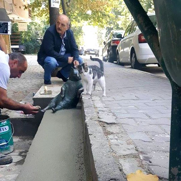 Gato de Istambul imortalizado em estátua