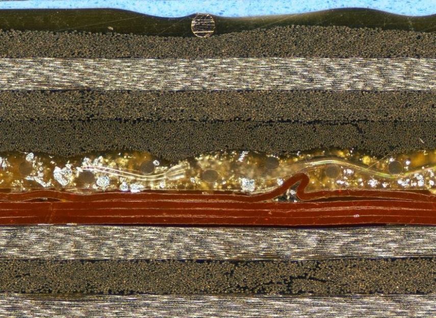Nikon Small World