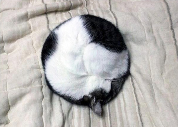 Imagem harmônicas ou simétricas vão agradam até perfeccionistas