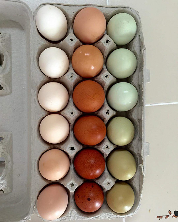Imagem harmônicas ou simétricas vão agradam até perfeccionistas