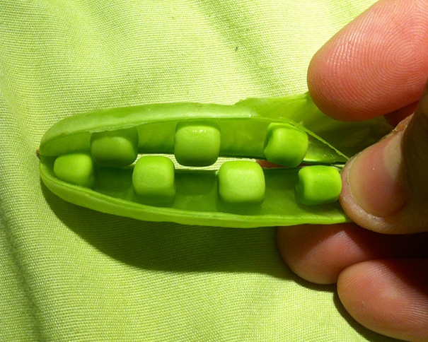 Imagem harmônicas ou simétricas vão agradam até perfeccionistas