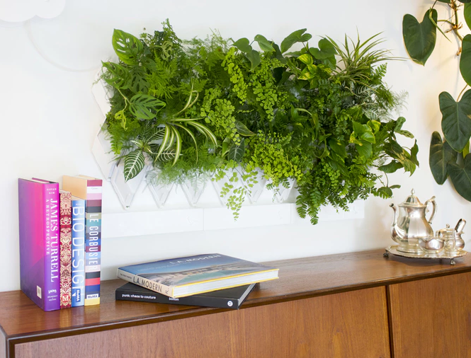 Chamado de Plug & Plant, jardim é controlado por aplicativo e bluetooth que armazena informações de umidade, iluminação e temperatura.
