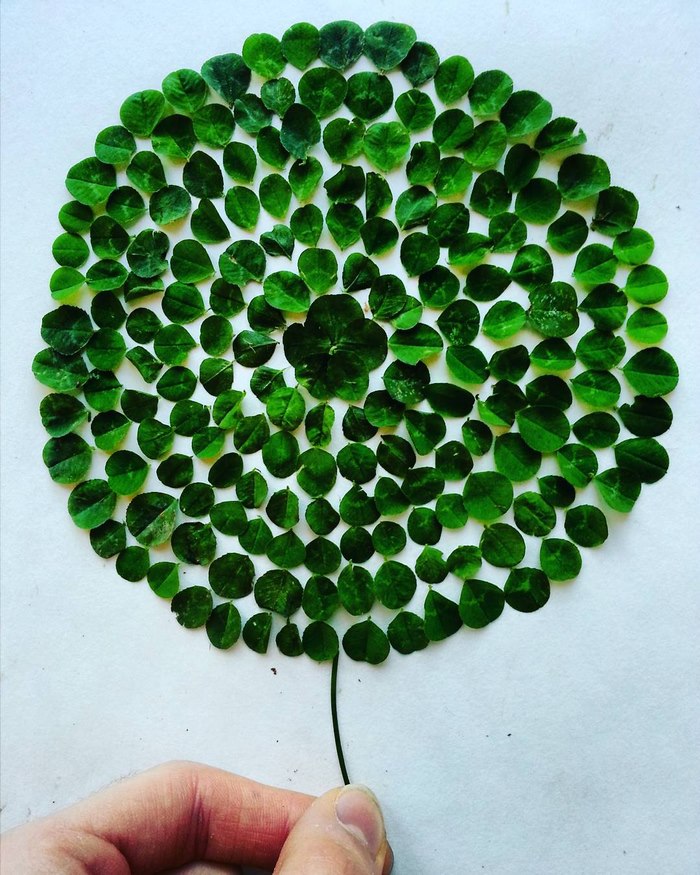 Posicionando na escala certa, de tamanho e de cor, Adam transforma objetos mundanos em verdadeiras obras de arte