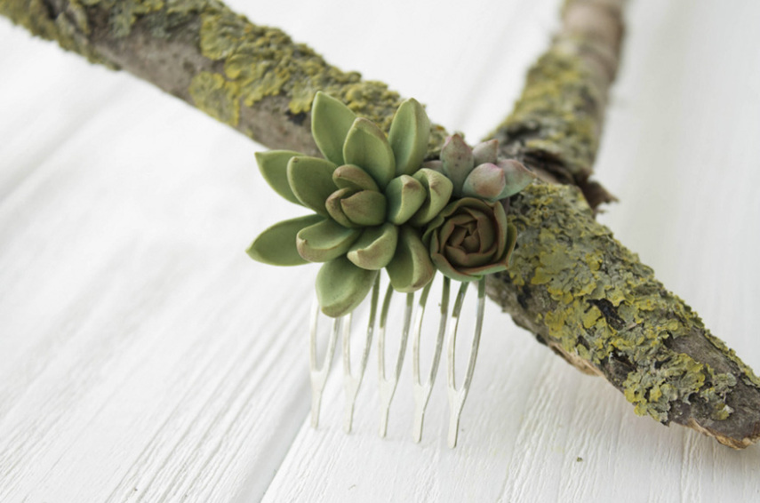 Designer se inspira em plantas suculentas